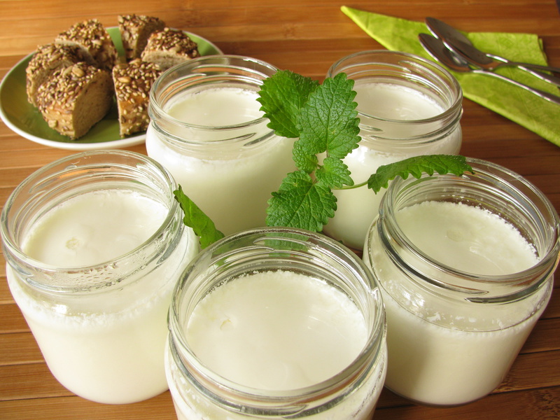 Joghurt selber machen & selbst herstellen die Anleitung!
